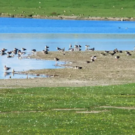 Haus Halligblick, Am Wattenmeer, Whg Langenness *