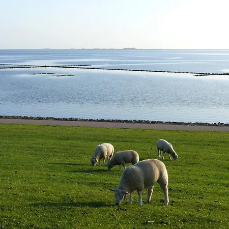 Haus Halligblick, Am Wattenmeer, Whg Langenness Apartamento *