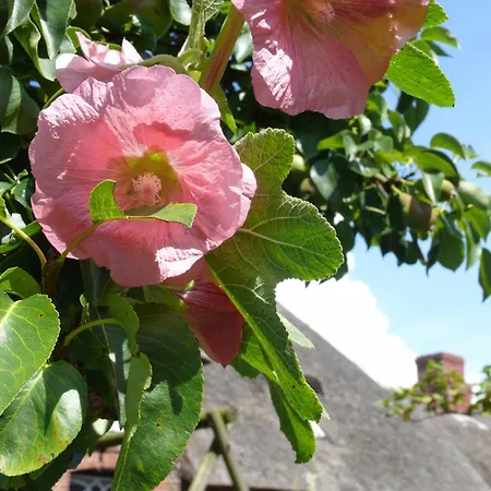 Haus Halligblick, Am Wattenmeer, Whg Langenness Apartamento Dagebüll
