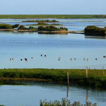 Haus Halligblick, Am Wattenmeer, Whg Langenness * Dagebüll